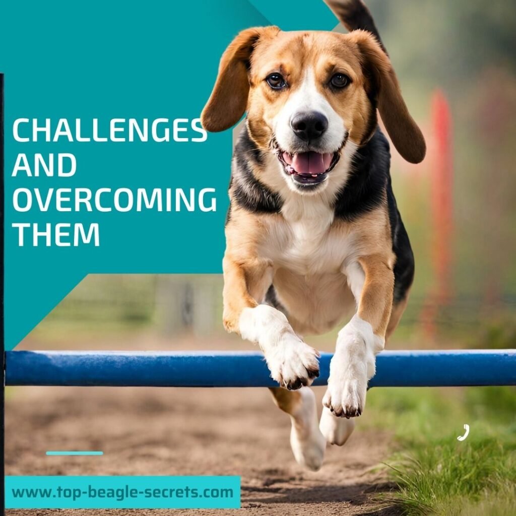 Challenges and Overcoming Them
