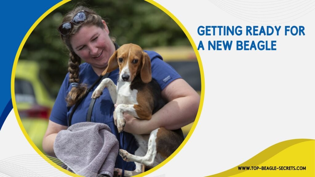 Getting Ready for a New Beagle