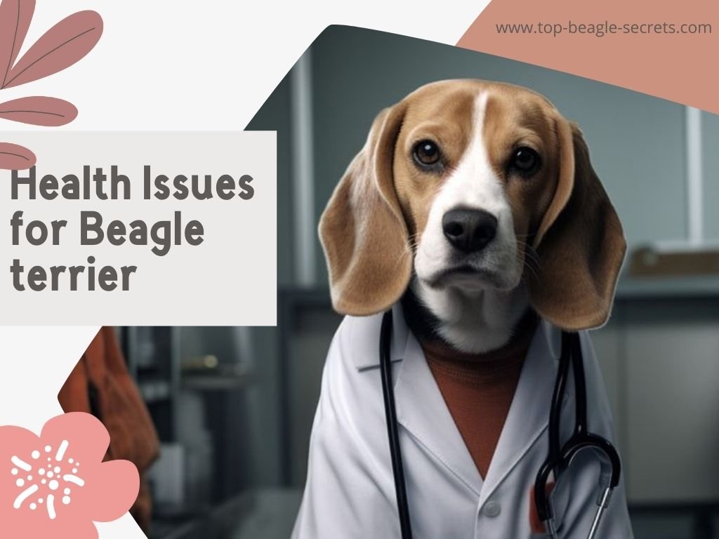 Health Issues for Beagle terrier
