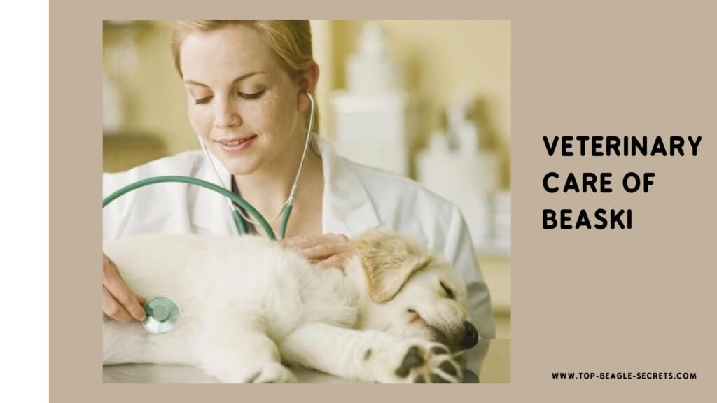 Veterinary Care of Beaski