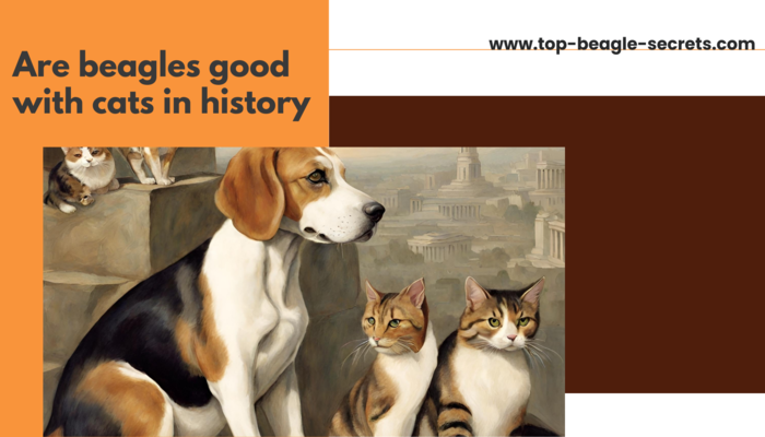 Are beagles good with cats in history